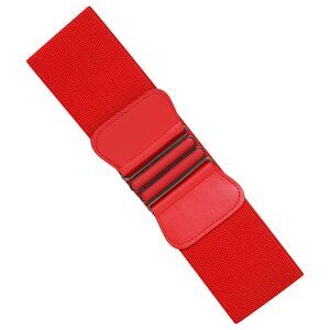 Tara Elasticated Nurse Belt Stretch Wide 50's Retro Vintage Waist Cincher -🐶